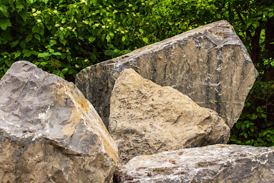 FLUSSBAUSTEIN MUSCHELKALK